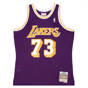 Nba jersey Los Angeles Lakers Dennis Rodman image-0