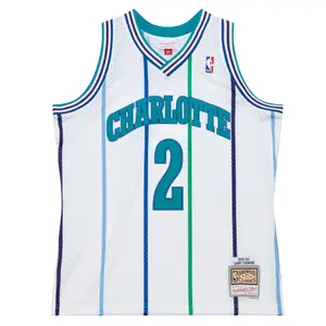 Nba jersey Charlotte Hornets Larry Johnson