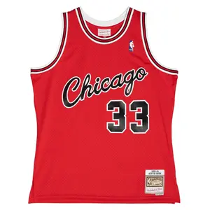 Maglia NBA Chicago Bulls Scottie Pippen Alternate image-0