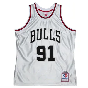 Nba jersey Chicago Bulls Dennis Rodman image-0