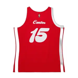 Memphis Grizzlies NBA Jersey Vince Carter 2015/16 image-1