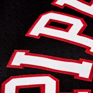 Chicago Bulls NBA Jersey Scottie Pippen 1997/98 image-2