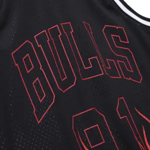 Nba jersey Chicago Bulls Dennis Rodman image-2