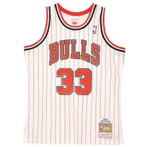 Maglia NBA Chicago Bulls Scottie Pippen 1995/96 image-0