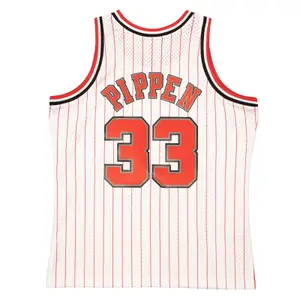 Maglia NBA Chicago Bulls Scottie Pippen 1995/96 image-1