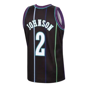 Charlotte Hornets NBA Jersey Larry Johnson image-1