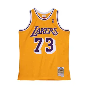 Nba jersey Los Angeles Lakers Dennis Rodman image-0