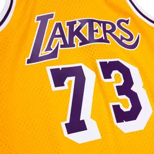 Nba jersey Los Angeles Lakers Dennis Rodman image-2