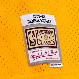 Nba jersey Los Angeles Lakers Dennis Rodman image-3