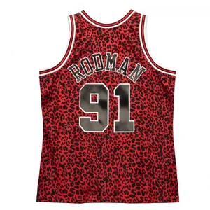 NBA Jersey Chicago Bulls Dennis Rodman image-0
