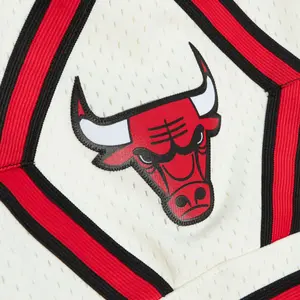 Camiseta corta de los Chicago Bulls 1997/98 image-2