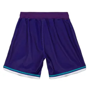 Charlotte Hornets Shorts Alternate Swingman 1994/95 image-1