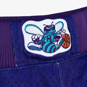 Charlotte Hornets Shorts Alternate Swingman 1994/95 image-2