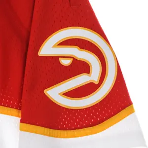 Short Atlanta Hawks Swingman image-2