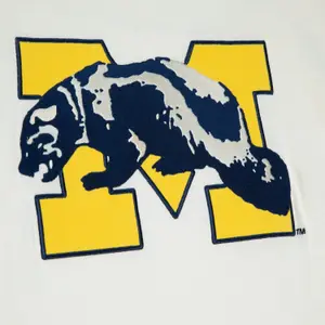 Maglietta Michigan Wolverines NCAA Color Blocked image-1