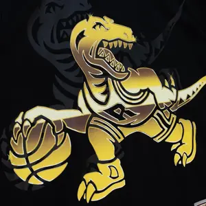 Camiseta Toronto Raptors image-2