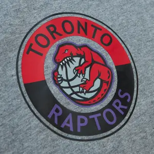 Camiseta Mitchell & Ness City Collection Toronto Raptors image-1