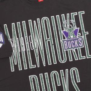 Koszulka Milwaukee Bucks Team OG Premium image-2