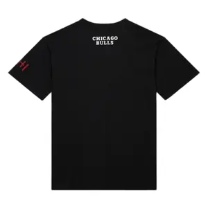 Camiseta Mitchell & Ness Premium Vintage Chicago Bulls Dennis Rodman image-1