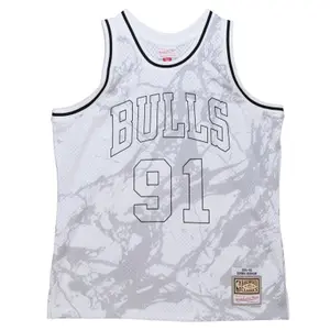 Maglia NBA Chicago Bulls Dennis Rodman image-0