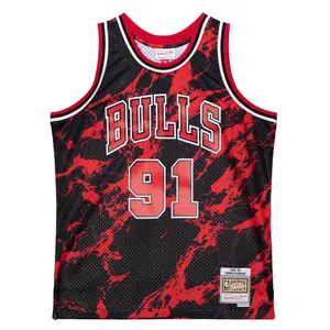 Nba jersey Chicago Bulls Dennis Rodman image-0