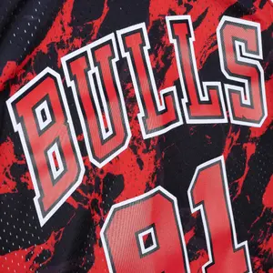 Nba jersey Chicago Bulls Dennis Rodman image-2