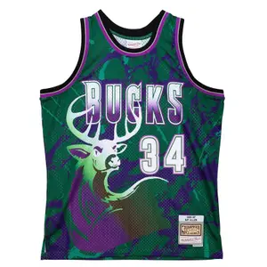Milwaukee Bucks Jersey Ray Allen Team Swingman 1996/97