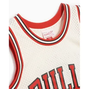 Jersey Chicago Bulls Dennis Rodman 1997/98 image-2