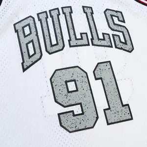 Chicago Bulls NBA Jersey Dennis Rodman image-2