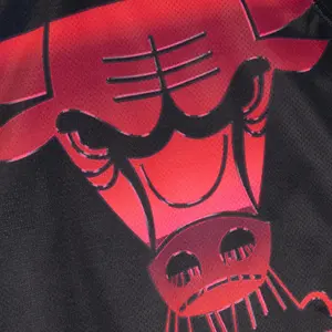 Cropped Trikot Damen Chicago Bulls Big Face 4.0 image-2