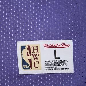 Eversible mesh jersey Phoenix Suns Vintage Logo image-4