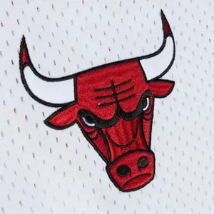Mesh v-neck jersey Chicago Bulls Fashion image-2
