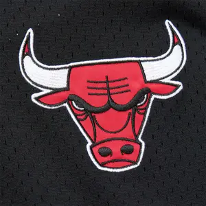 Mesh v-neck jersey Chicago Bulls Fashion Vintage Logo image-2