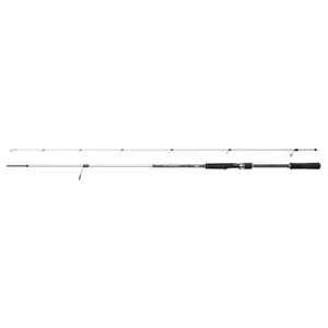 Spinnrute Mitchell Tanager SW 20-60 g image-0