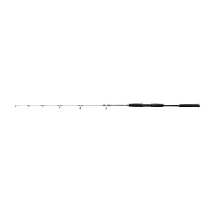 Καλαμάκι spinning Mitchell Tanager SW 100 - 250 g image-0