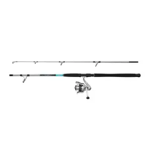 Canne spinning Mitchell Tanager 3 SW 100-300 g image-0