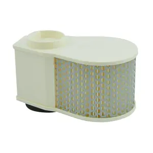 Φίλτρο αέρα μηχανής MIW Yamaha XVZ 1300 Royalstar Y4243 image-0