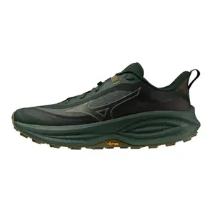 Running shoes Mizuno Neo Daichi 10 Gtx