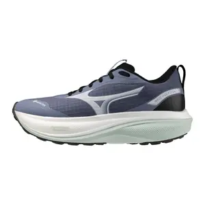 Women's running shoes Mizuno Wave Rider Gtx 4 image-1
