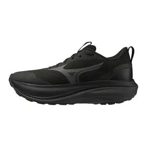 Women's running shoes Mizuno Wave Rider Gtx 4 image-1