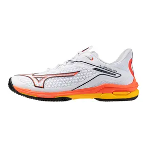 Tennisschoenen Mizuno Wave Exceed Tour 6 Ac