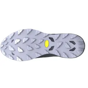 Laufschuhe Mizuno Wave Daichi 9 GTX image-1