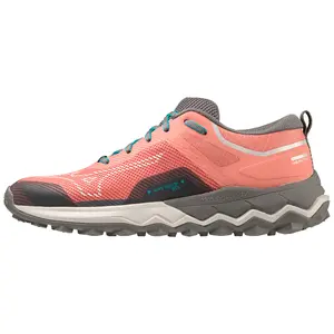 Løbesko til kvinder Mizuno Wave Ibuki 4 GTX image-0
