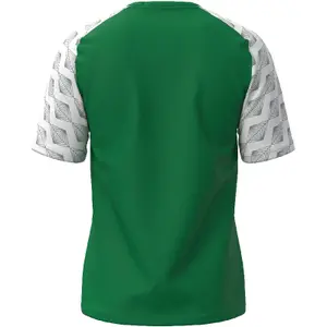 Trikot Mizuno Team Kongougara image-1