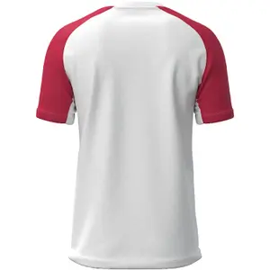 Camisola Mizuno Team Meisaigara image-1