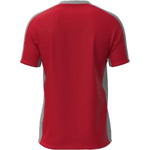 Träningströja Mizuno Team image-1