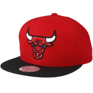 Casquette Mitchell & Ness  Tone Chicago Bulls image-0