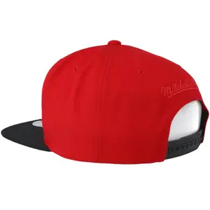 Casquette Mitchell & Ness  Tone Chicago Bulls image-1