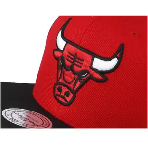 Casquette Mitchell & Ness  Tone Chicago Bulls image-4