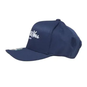 Gorra Mitchell & Ness pinscript 110 image-0